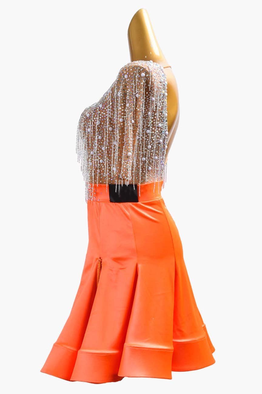 Glamorous Fringed Latin Dance Dress image 3
