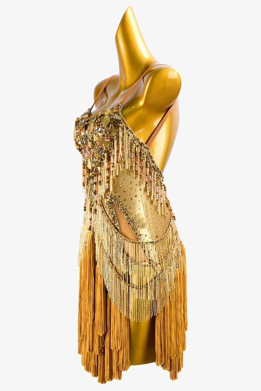 Gold Dot Shine Lycra Latin Dress with Tassels, Mirror Stones, Crystal AB, and Beaded Fringes image 3
