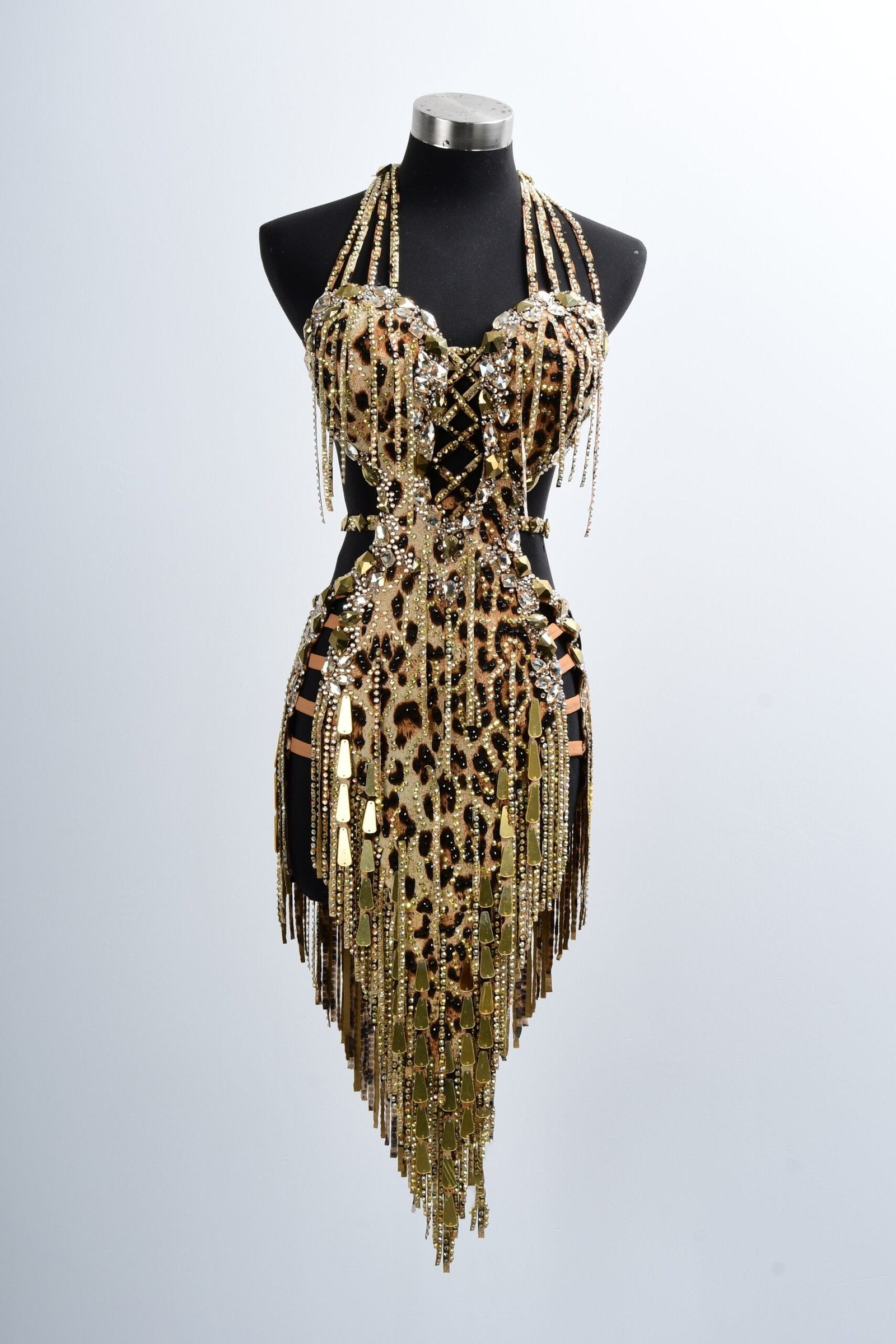 Crystalline Leopard Print Latin Feather Dress for Latin/Rhythm Dance image 0