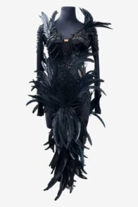 Black stretch velvet Latin dress with mesh sleeves, beadings, feathers, crystals & sew-on stones