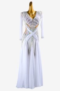 White mesh Standard dress with silver beaded fringes, beadings, AB crystals & sew-on stones