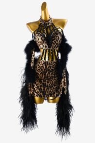 Leopard print Latin dress with feather and crystal AB