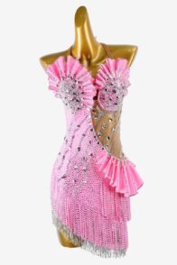 Bright pink matt lycra Latin dress with stone fringes, beaded fringes, silver sew-on stones & crystals
