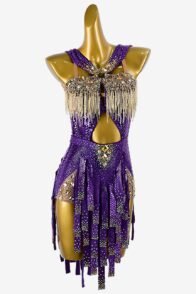 Purple python foil on lycra Latin dress with gold beaded fringes & rhinestones