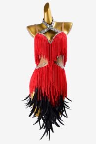 Fleshtone lycra Latin dress with red fringes, black feathers, silver crystals & sew-on stones