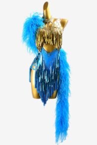 Dark sky blue Latin dress with sequins, gold stone mirrors, crystal AB, blue feathers & fringes