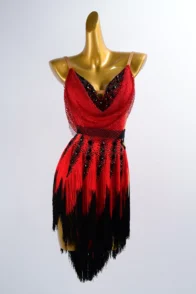 Women's Red Tassel Dancewear Performance Dress