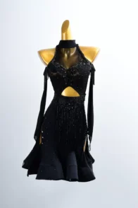 Black Fringe Latin Dance Professional Competition Dress