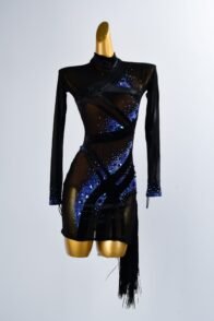 Latin Dance Dress High-end Customized Long Sleeved Tulle Tassel Dance Dress