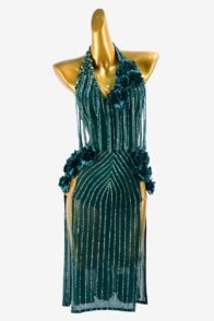 Malachite Green Mesh Latin Dress with Stone Fringes, Flower Appliqué, and Rhinestones