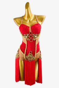 Red Matte Lycra Latin Dress with Fringe, Gold Rhinestones, and Sew-On Stones