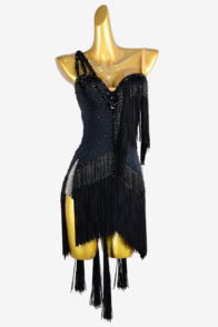BaileBelle black lustre lycra backless Latin dress with fringes, beaded fringes & rhinestone