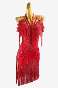 Crimson Matte Lycra Latin Dress with Stone Fringes, Lace Appliqués, Sew-On Stones, and Crystals