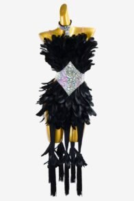 Black Latin Dress with Tassels, Feathers, White Crystal AB, and Sew-On Stones