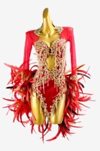 Crimson Mesh Latin Dress with Lace Appliqués, Feathers, Gold Beaded Fringes, and Crystal AB Accents